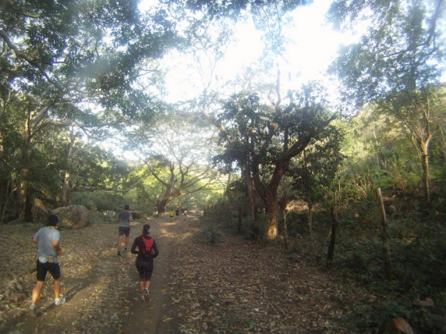 Vamos de excursion